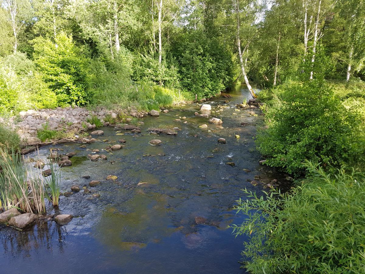 Tranas Vandrarhem Tranås Exterior foto